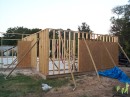 Garage 1st sheathing * 1152 x 864 * (284KB)